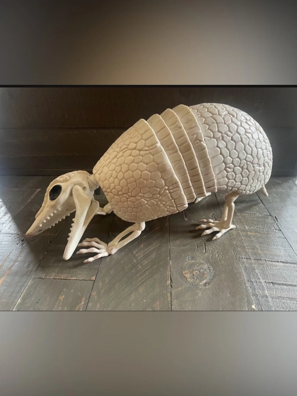 Beige Armadillo Reptile Habitat Decoration - Realistic Shell Accent- faux